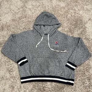 Penn university Gray fuzzy Hooded Sweatshirt with Logo